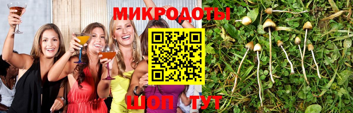 Новочебоксарск  Галлюциногенные грибы мицелий  Вход с VPN 
