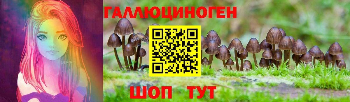 Галлюциногенные грибы Magic Shrooms Новочебоксарск